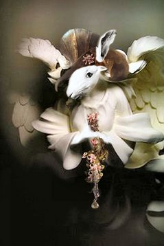 image-113